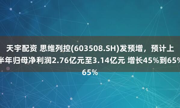 天宇配资 思维列控(603508.SH)发预增，预计上半年归母净利润2.76亿元至3.14亿元 增长45%到65%
