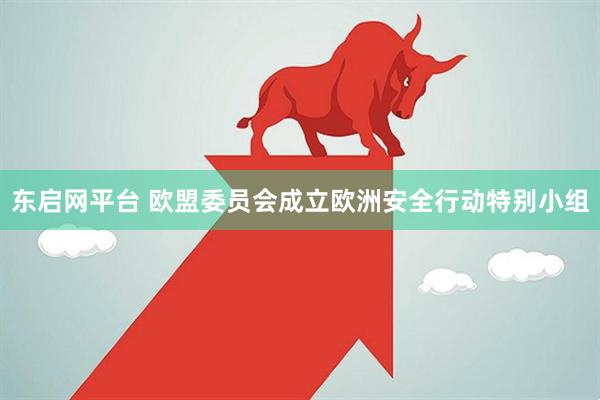 东启网平台 欧盟委员会成立欧洲安全行动特别小组