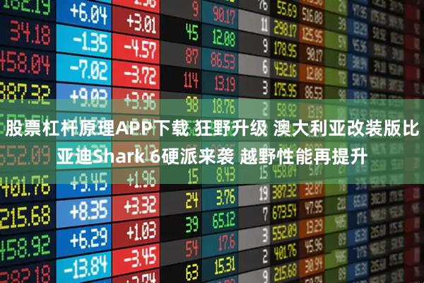 股票杠杆原理APP下载 狂野升级 澳大利亚改装版比亚迪Shark 6硬派来袭 越野性能再提升