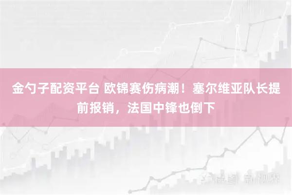 金勺子配资平台 欧锦赛伤病潮！塞尔维亚队长提前报销，法国中锋也倒下